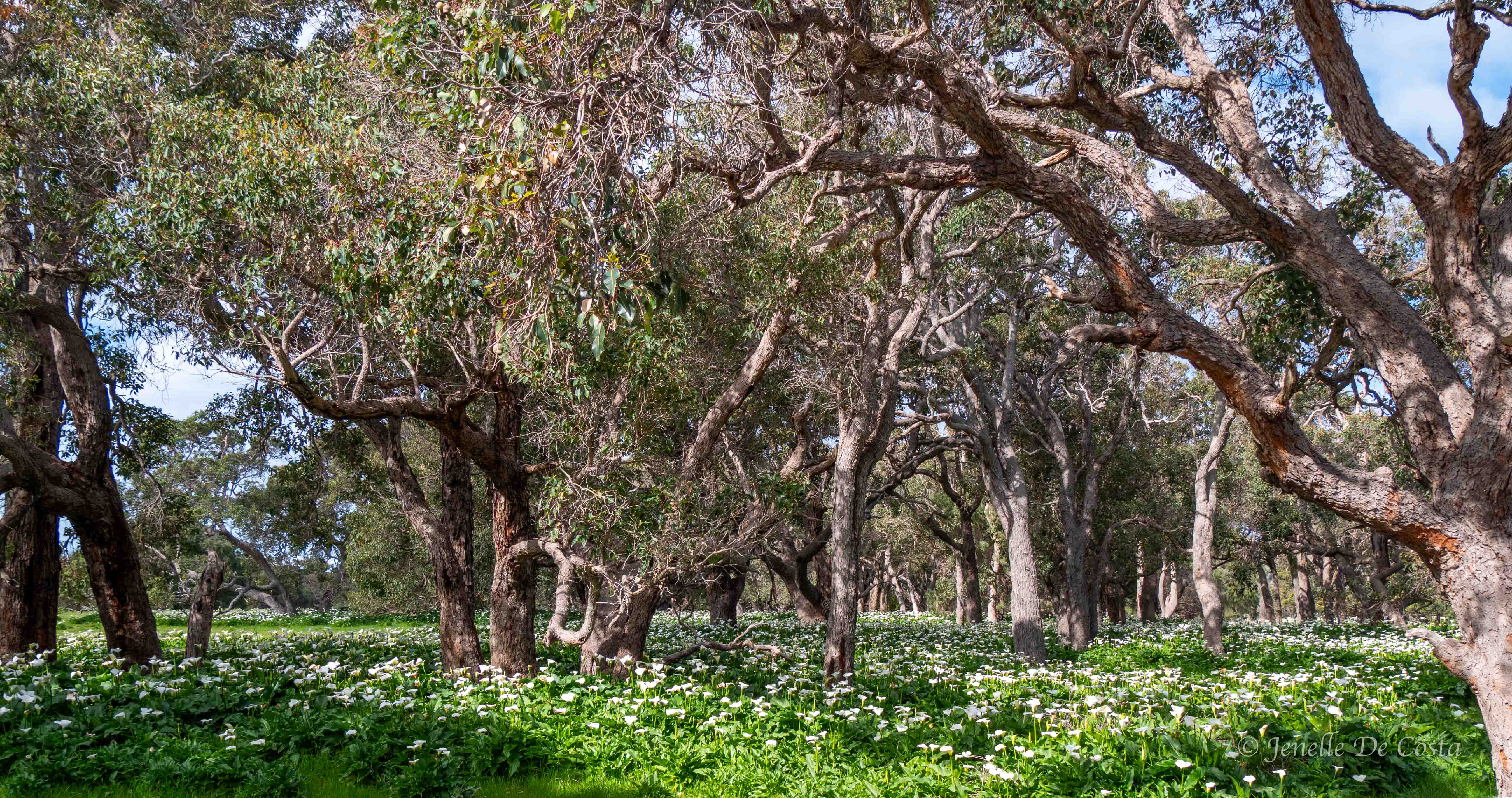busselton, western australia