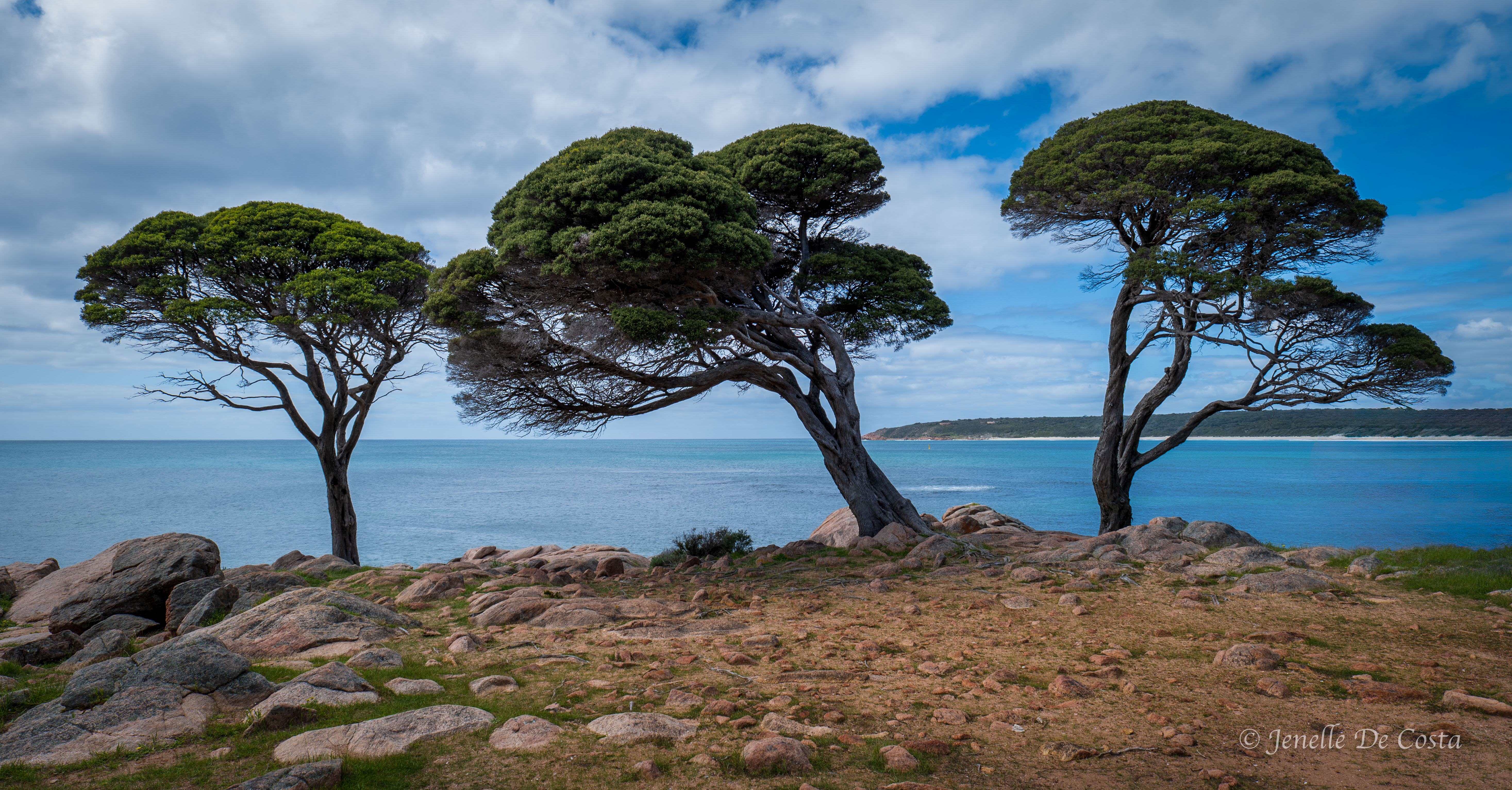cape naturaliste, western australia