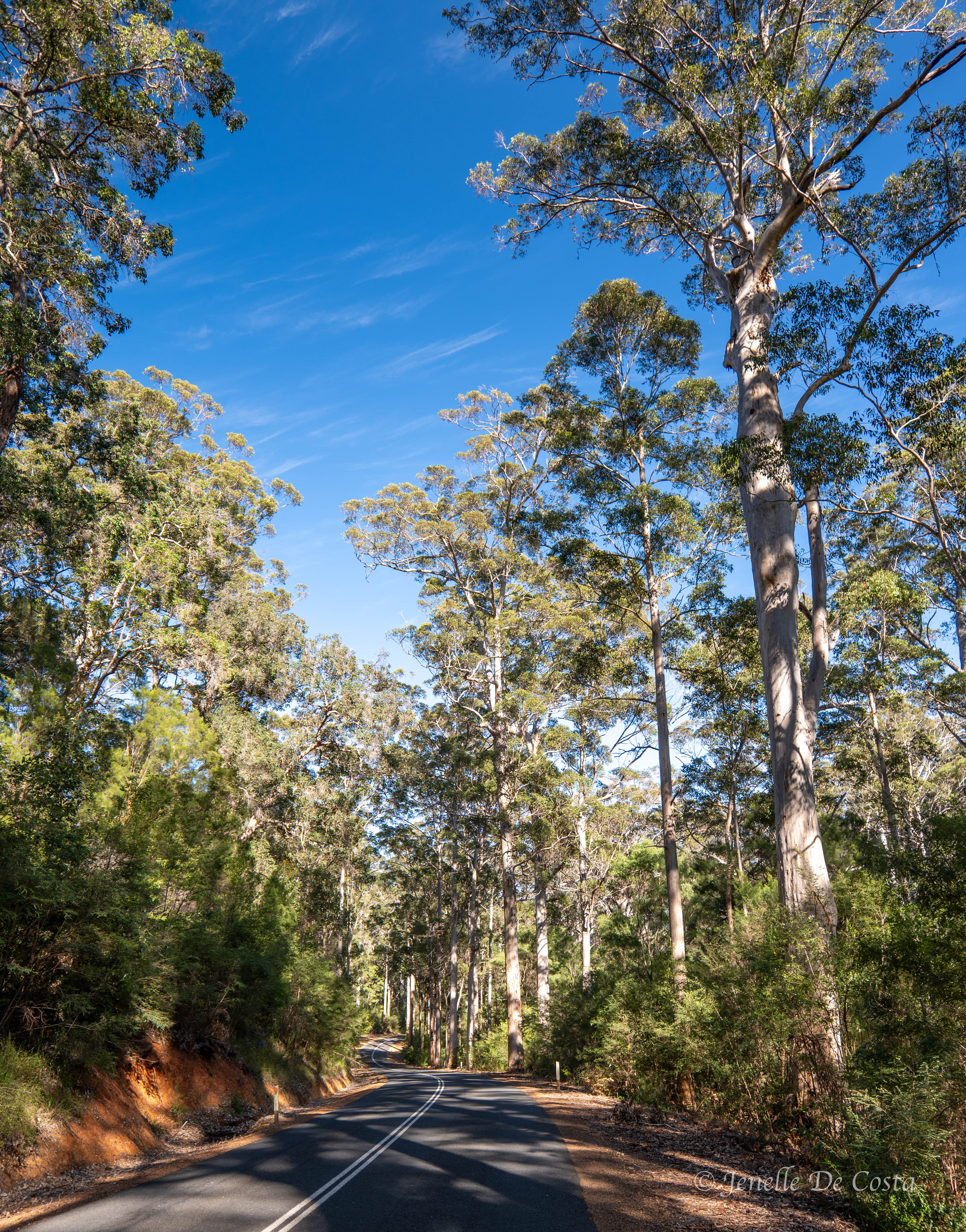 denmark. western australia