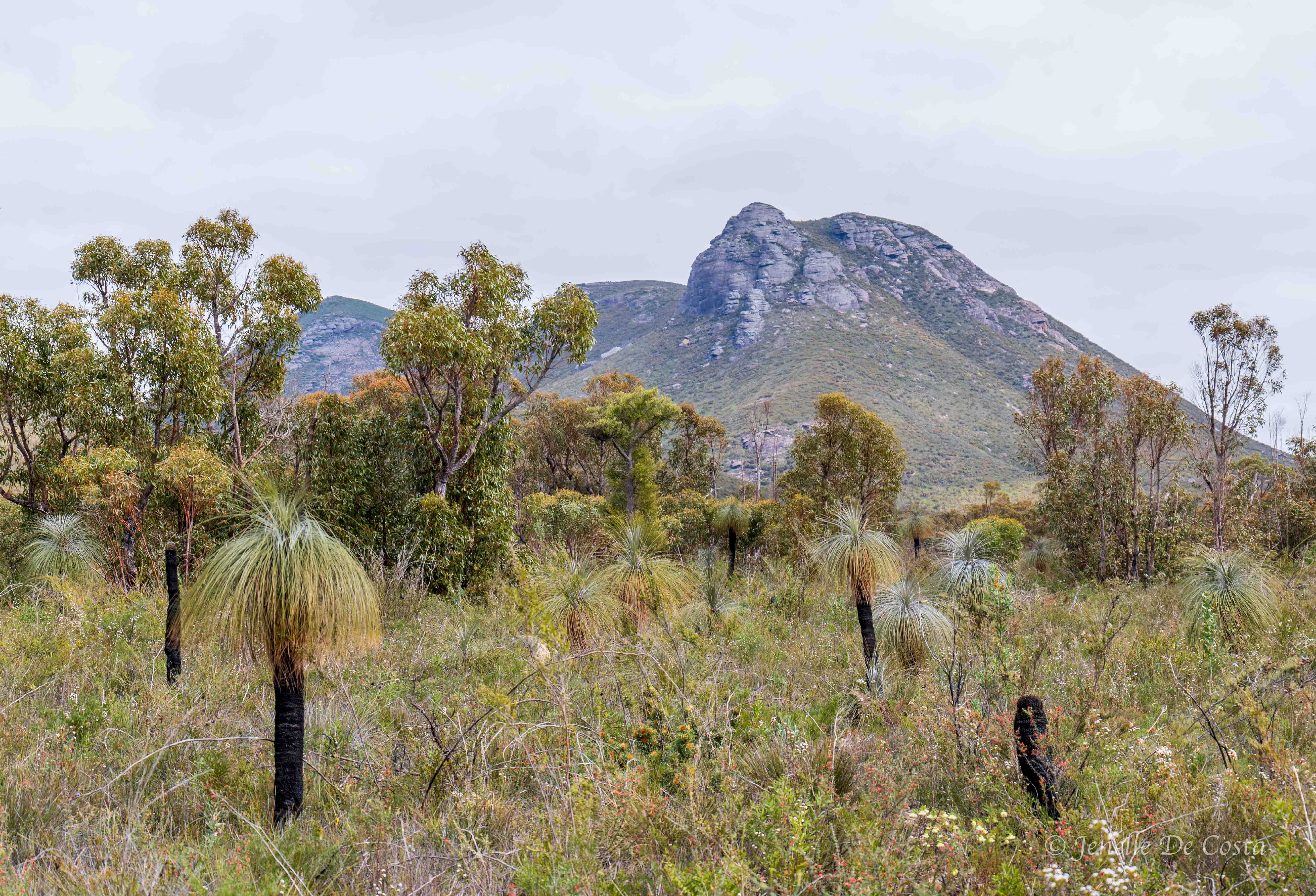 albany. western australia