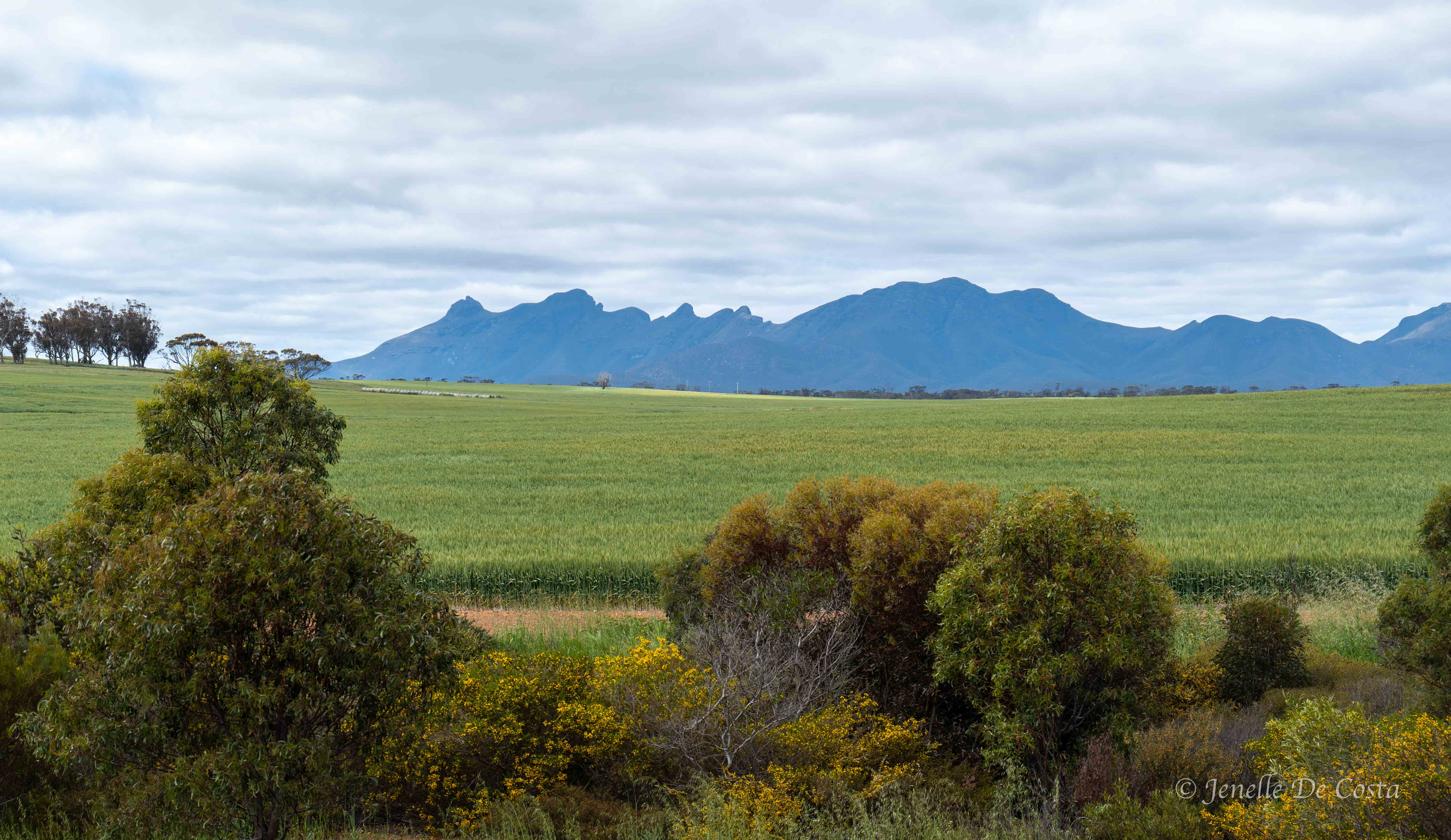 albany. western australia
