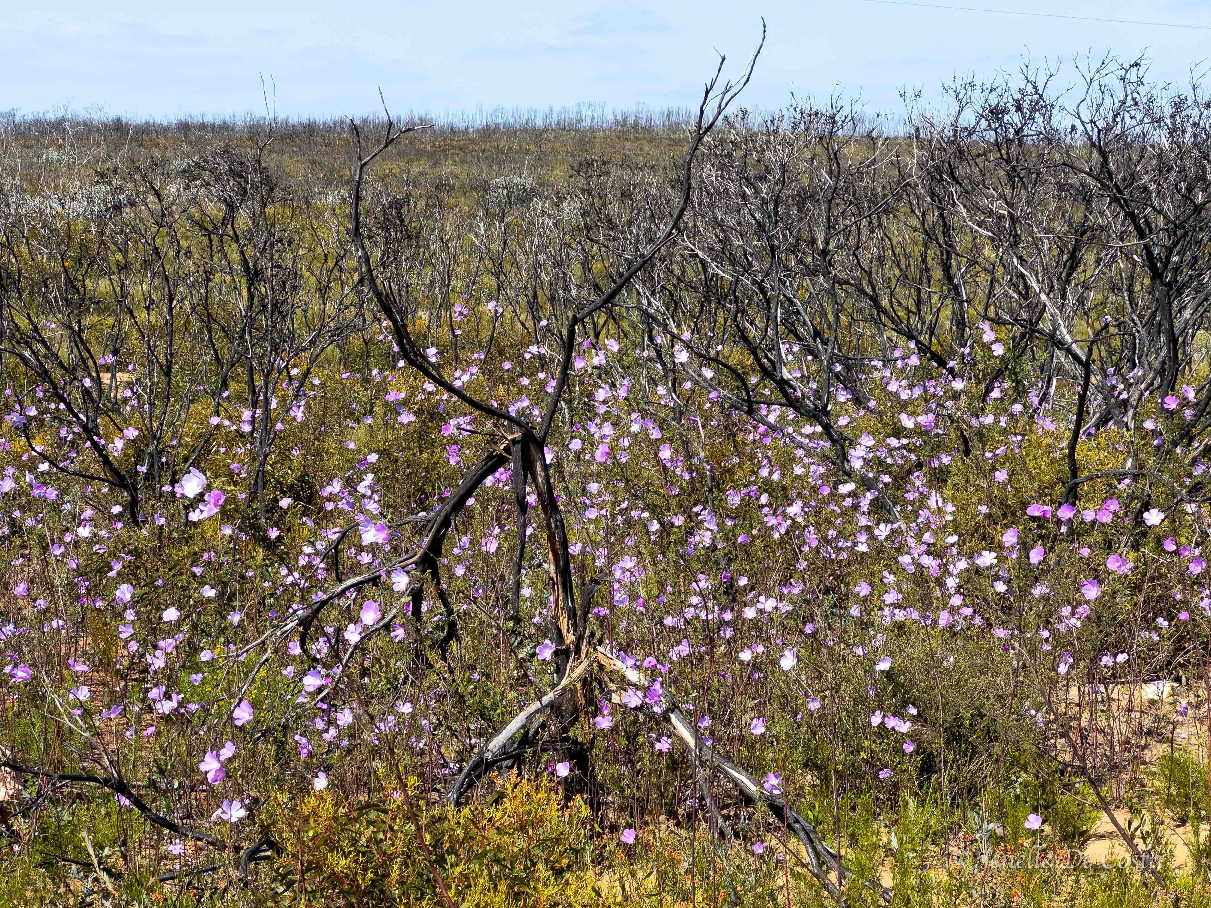 esperance, western australia