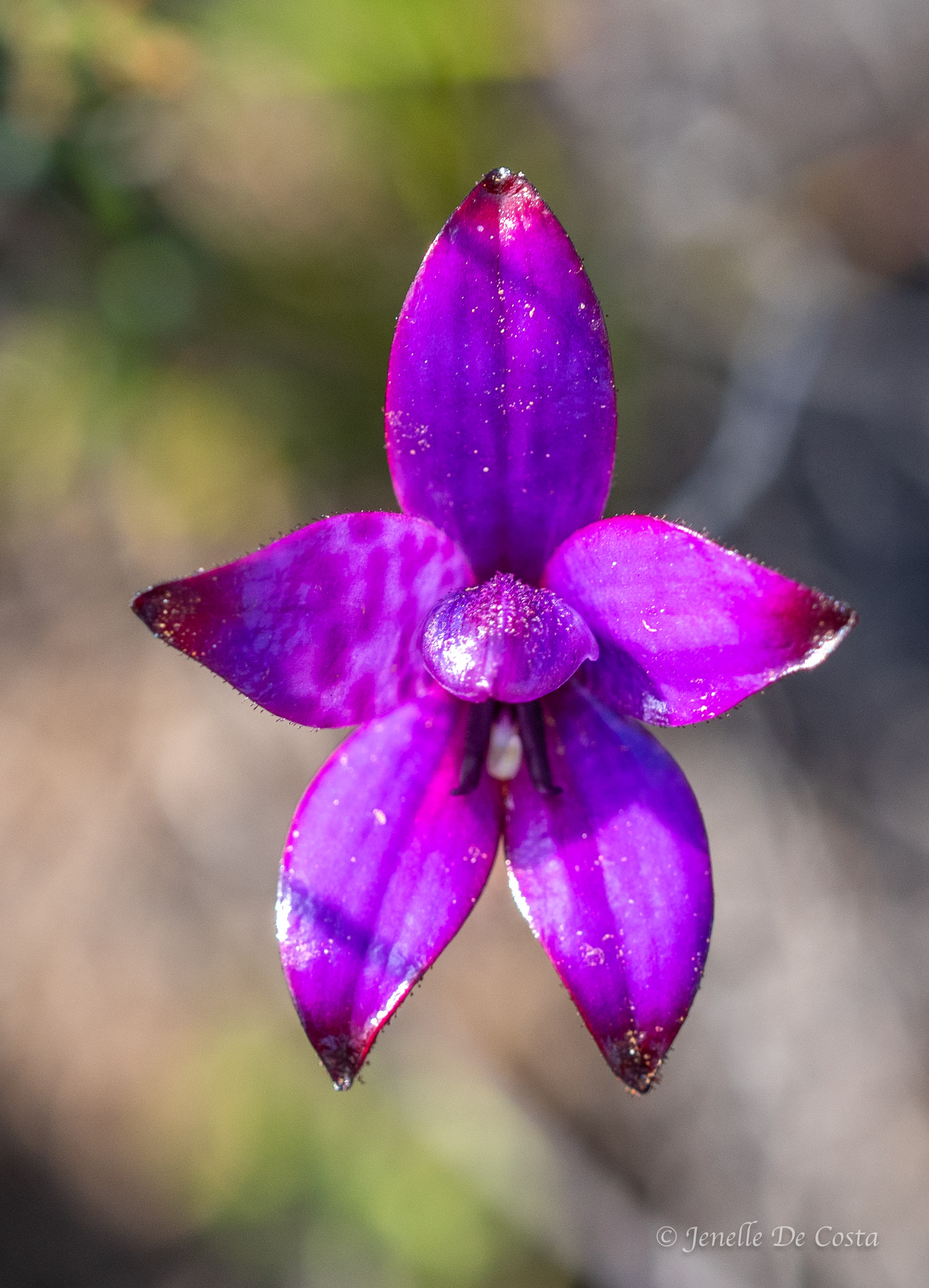esperance, western australia